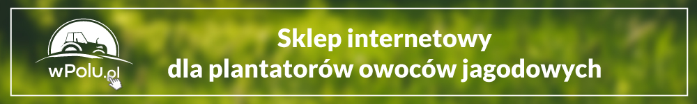 sklep internetowy dla plantatorów owoców jagodowych - wpolu.pl